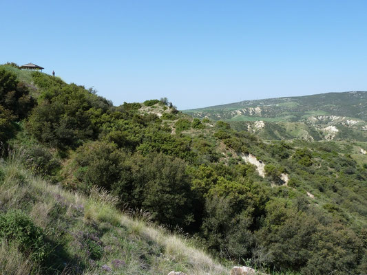 landschap nabij Sauroti