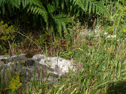 Adder