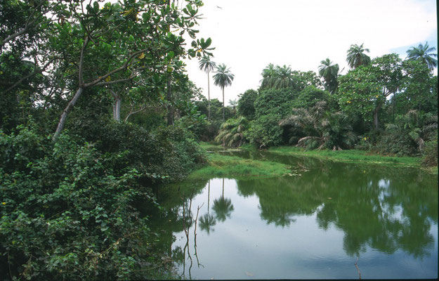 Abuko Nature Reserve