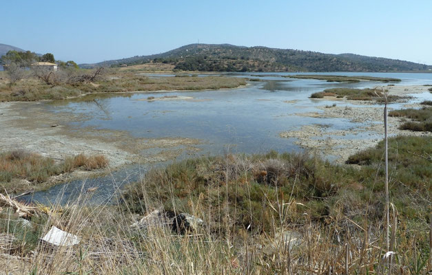 zoutlagune