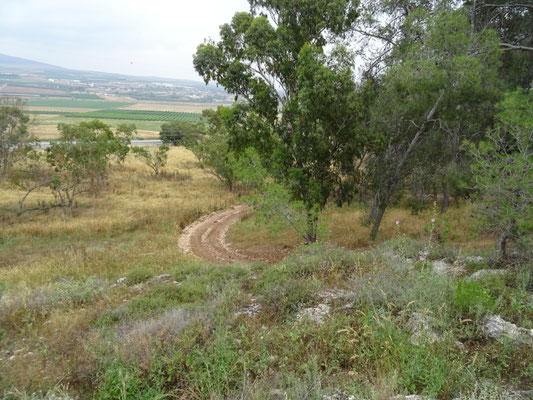 oostzijde Mount Gilboa