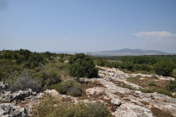 topbiotoop Mount Gilboa