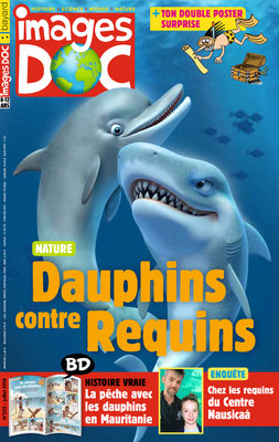 illustration 3d de couverture pour bayard presse requin dauphin