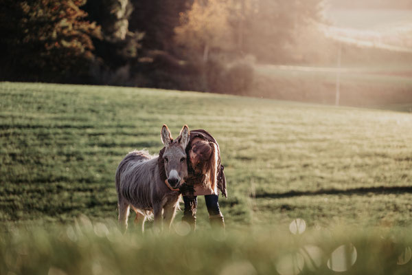 © elena danioth