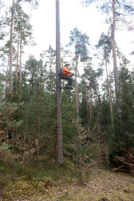 Bild 5: Obere Position erreicht