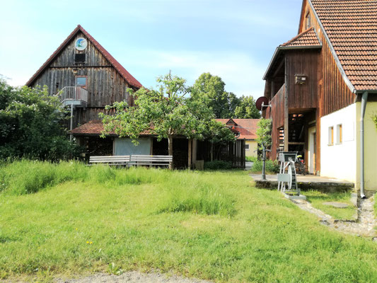 Ansicht des Lindenhofs im Sommer.