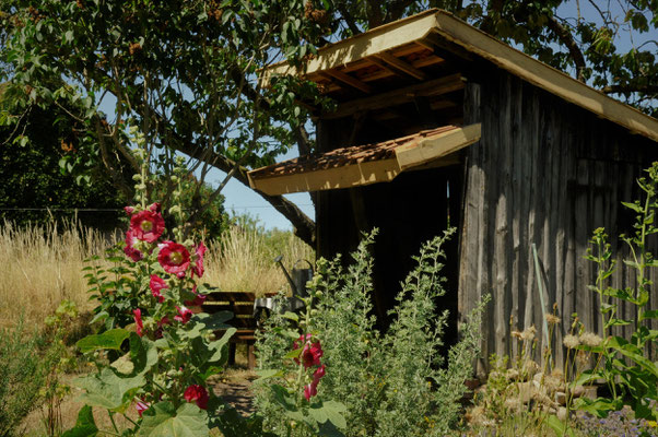 Gartenhäuschen (2018)