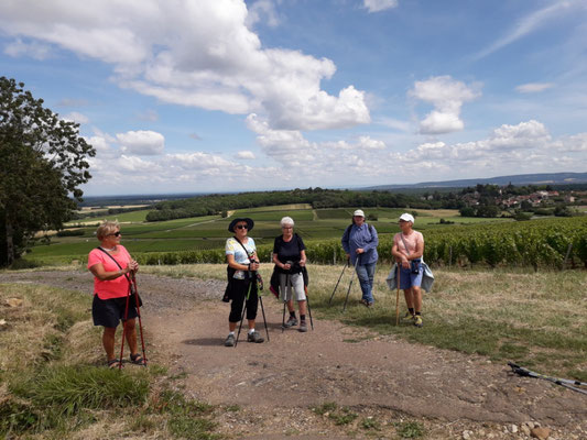 16 juin, sur les chemins entre Jully les Buxy, Montagny  et St Vallerin. Marie-Joelle.