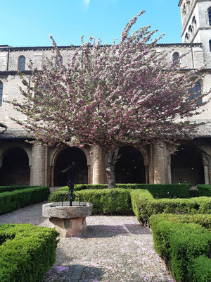 12 avril, J'en avais marre d'être confinée, alors je suis allée dans le cloître de l'abbaye.....