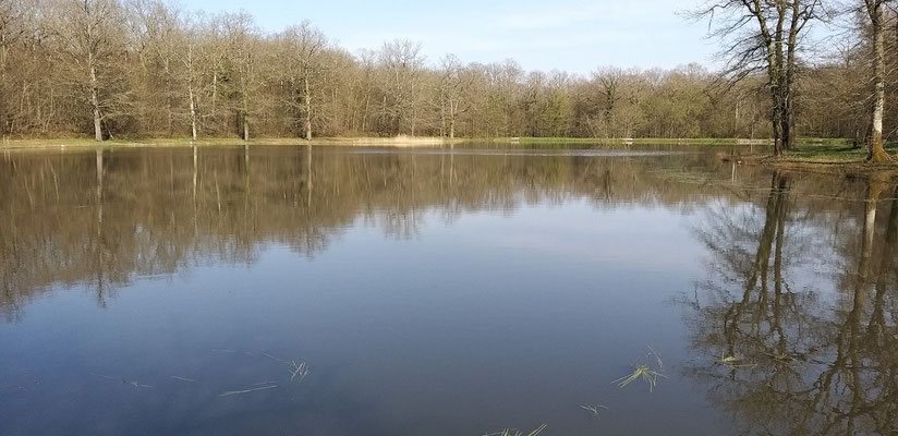 27 mars - L'étang des Reppes dans le bois du Grand Bragny, pèche et pique-nique ! René Rabut
