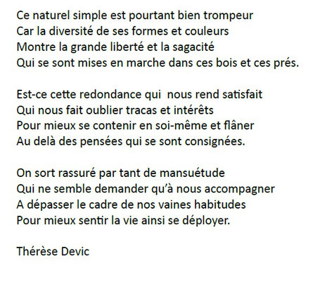 31 mai, Thérèse Devic