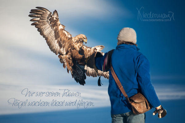 Theo und sein Steinadler