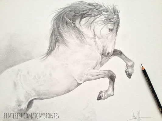 https://www.facebook.com/pages/Tony-O-Connor-Equine-Art/275031255420?fref=photo