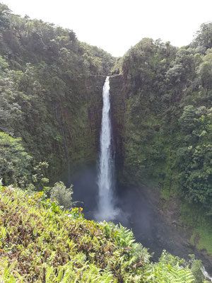 Die Akaka Falls, über 100 Meter hoch und wahnsinnig schön!