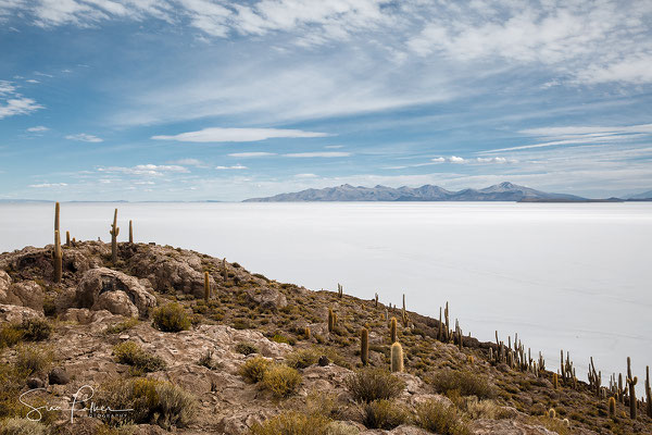 View from Incahuasi Island