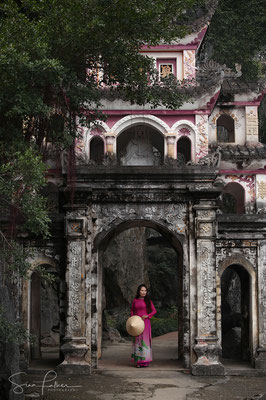 Pink Lady in Hoa Binh