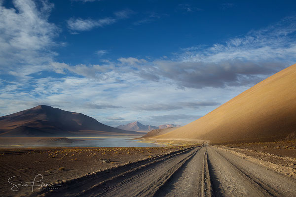 Driving through the Bolivian High Plateau