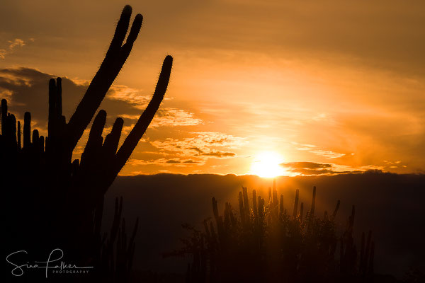 Sunset at Tatacoa desert