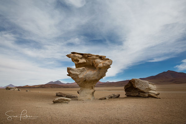 Arbol de Piedra