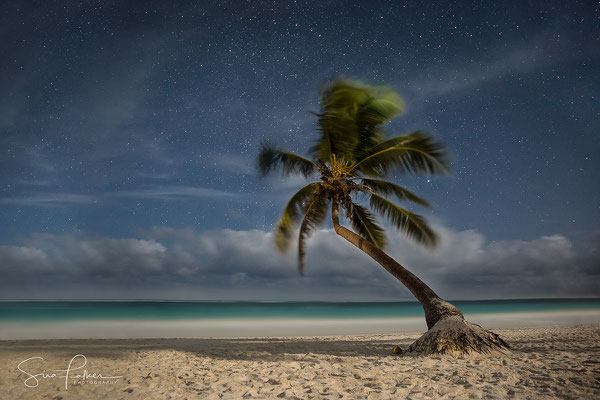 Caribbean night