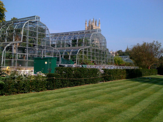 englisches Viktorianisches Gewächshaus Sonderanfertigung von Hartley Botanic