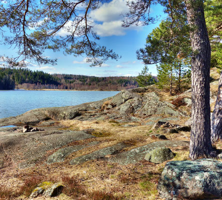 Lachs  -  Südnorwegen