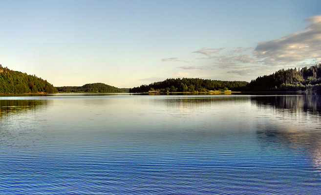 Lachs  -  Südnorwegen