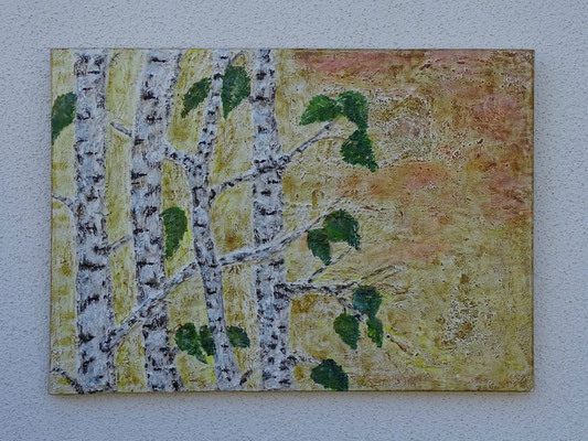 „Birken" (70/50)