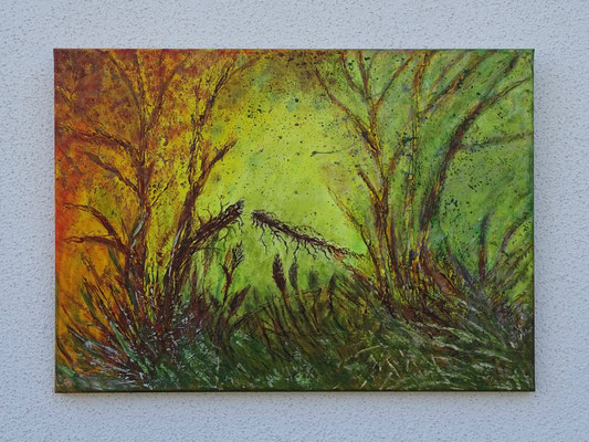 „Windbruch" (70/50)