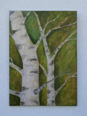 „Birken" (50/70)