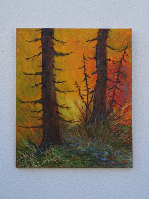 „Borkenkäfer unterwegs" (50/60)