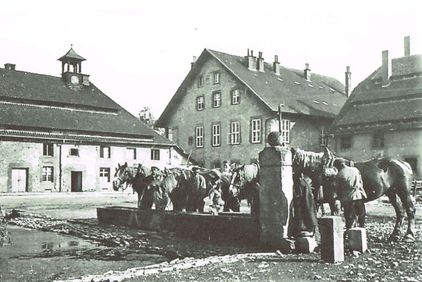 Pfedetränke in der Domäne um 1876