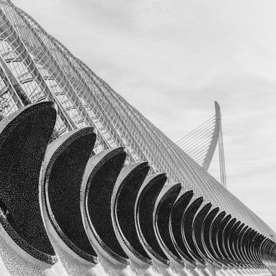 Valencia City of Arts and Sciences #4