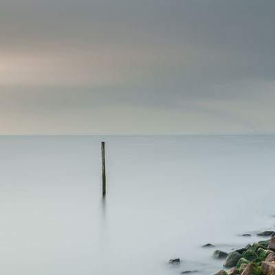 Stick and Stones