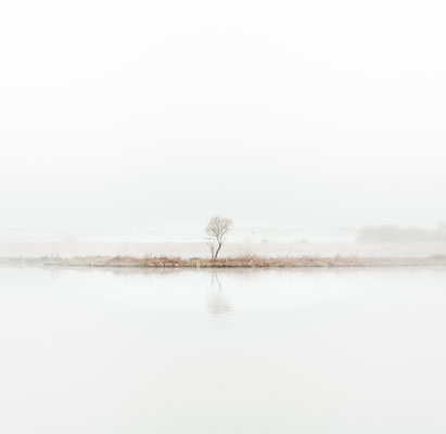 Still Standing