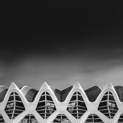 Valencia City of Art and Sciences #13