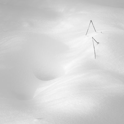 Hautes Fagnes B&W 3