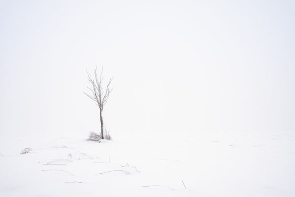Hautes Fagnes 3
