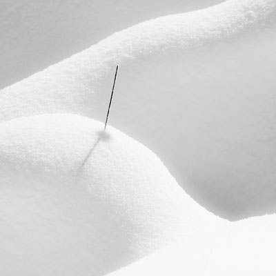 Hautes Fagnes B&W 2