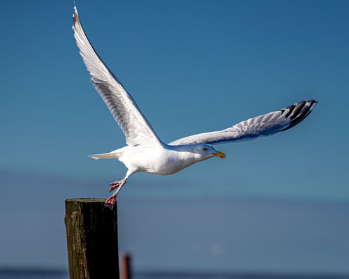 "Abflug" von Helmut Holzer (06.2023)