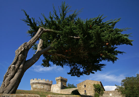 September - vom Wind geformt, Populonia, Toskana