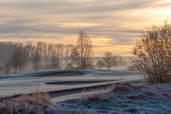 "Am Golfplatz" von Waltraud Wiget (01.2025)