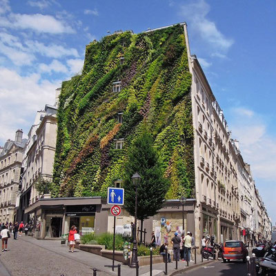 Aboukir Oasis, in Francia.