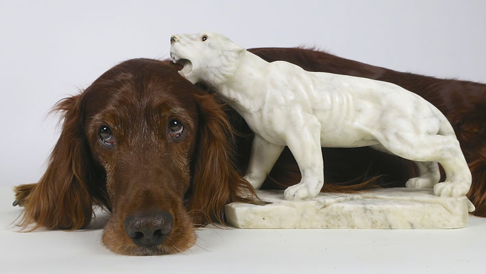 irishsetter hunting dog jagd jagdtrophäe trophy marmor kunst artwork sculpture irishred trendsetter
