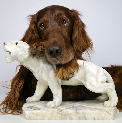 irishsetter hunting dog jagd jagdtrophäe trophy marmor kunst artwork sculpture irishred trendsetter