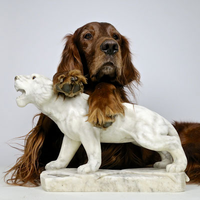 irishsetter hunting dog jagd jagdtrophäe trophy marmor kunst artwork sculpture irishred trendsetter