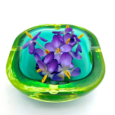 Krokus Frühling trendfarbe2018 neon trendfarben murano mouthblown interior kaufmuseum bowl schale frühling springcollection geschenke