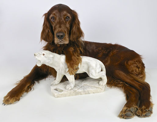 irishsetter hunting dog jagd jagdtrophäe trophy marmor kunst artwork sculpture irishred trendsetter