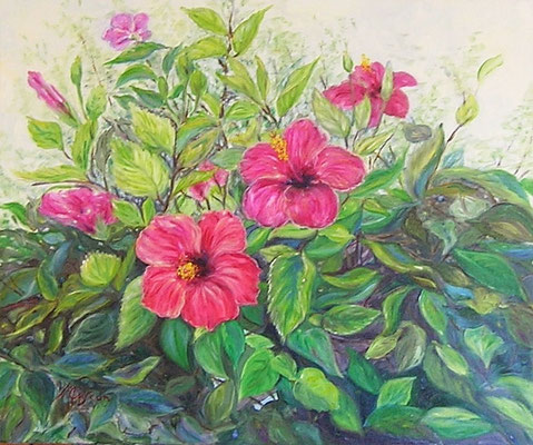 73. Hibiscus O/L 65x55