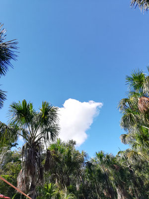 Himmel im  Camp Charapamama